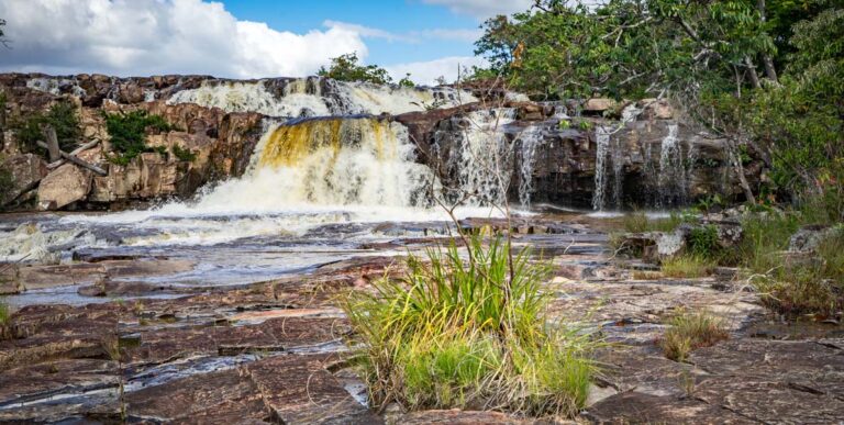 Georgetown – the garden city of the caribbean