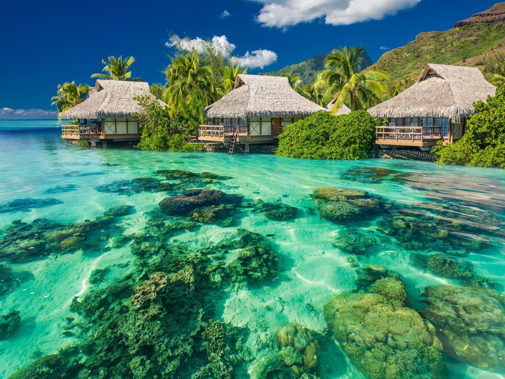 Top places to visit in Nadi