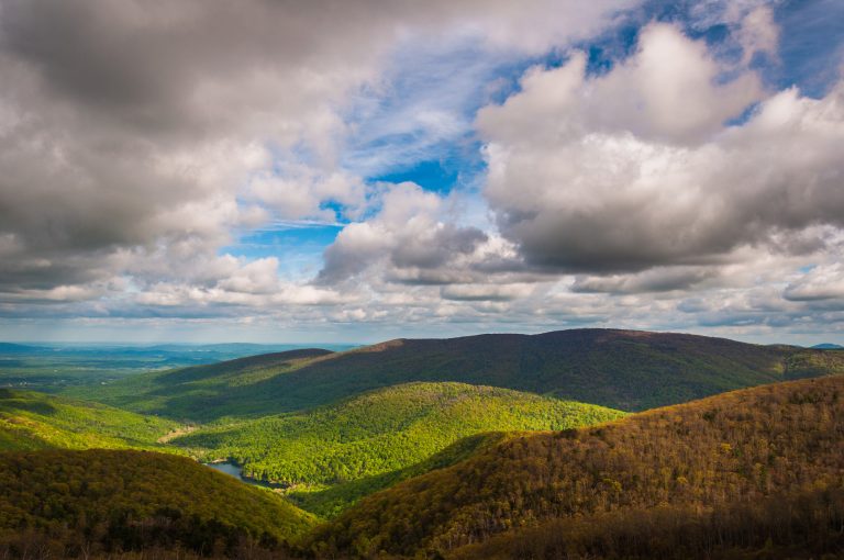 My travel guide to Charlottesville