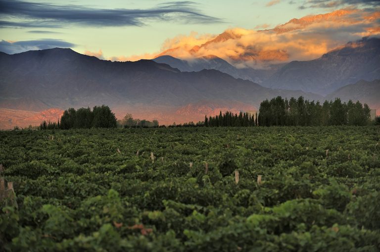 Travel to Mendoza, Argentina