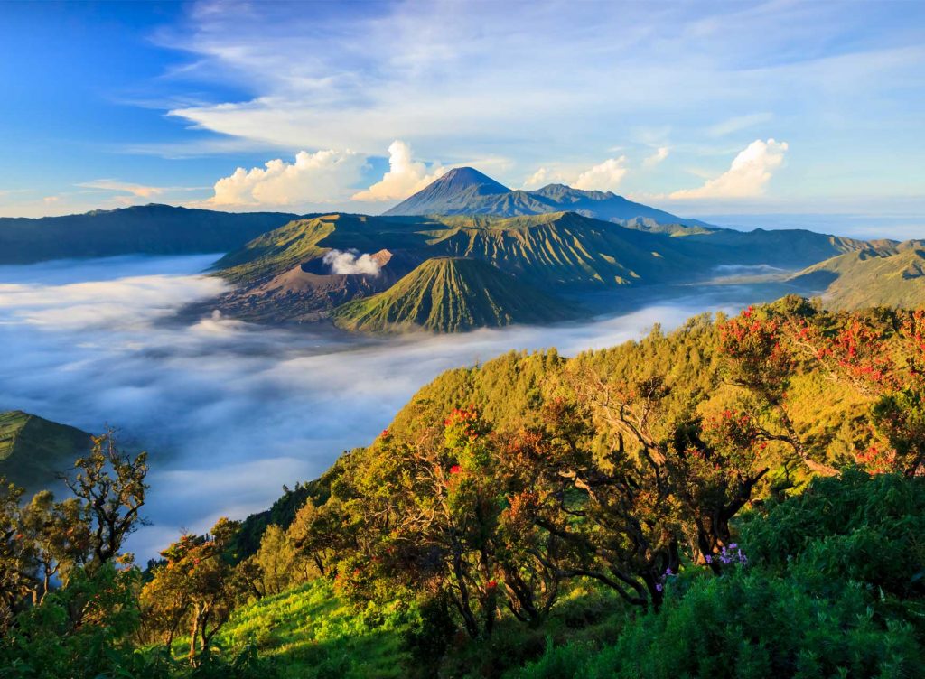 Indonesia