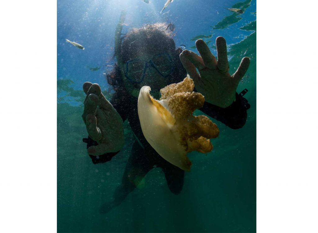 Jellyfish Lake, Borneo