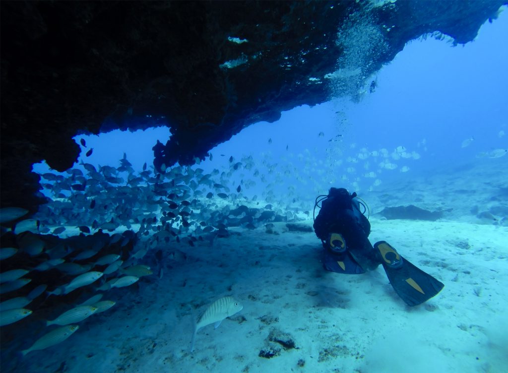 Diving