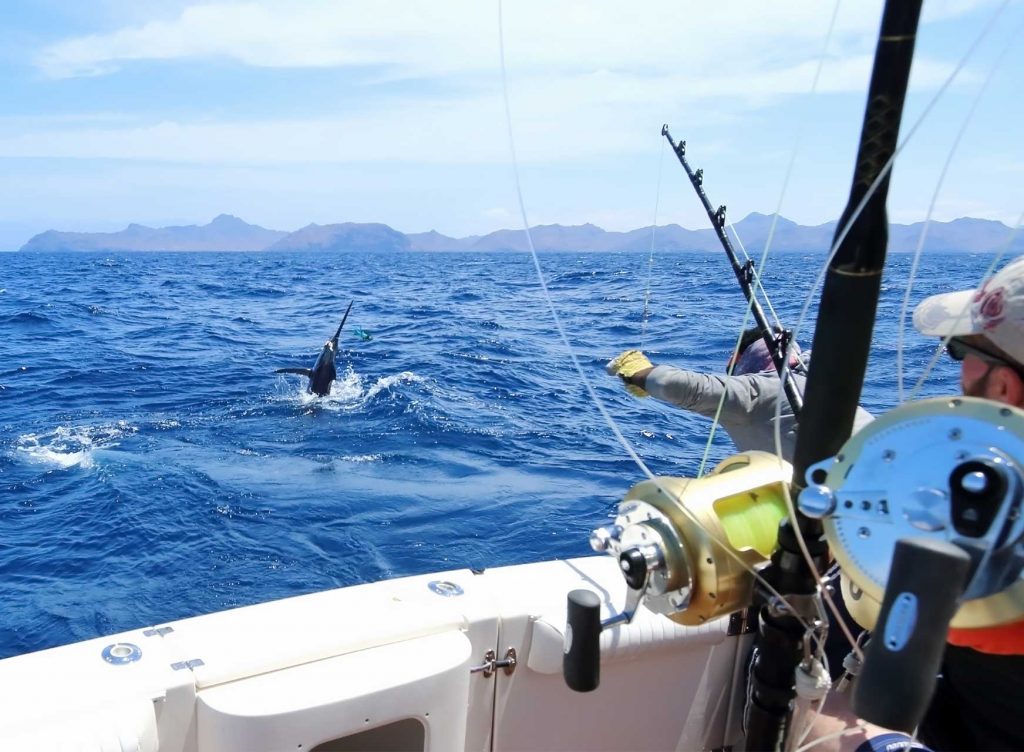 Fishing