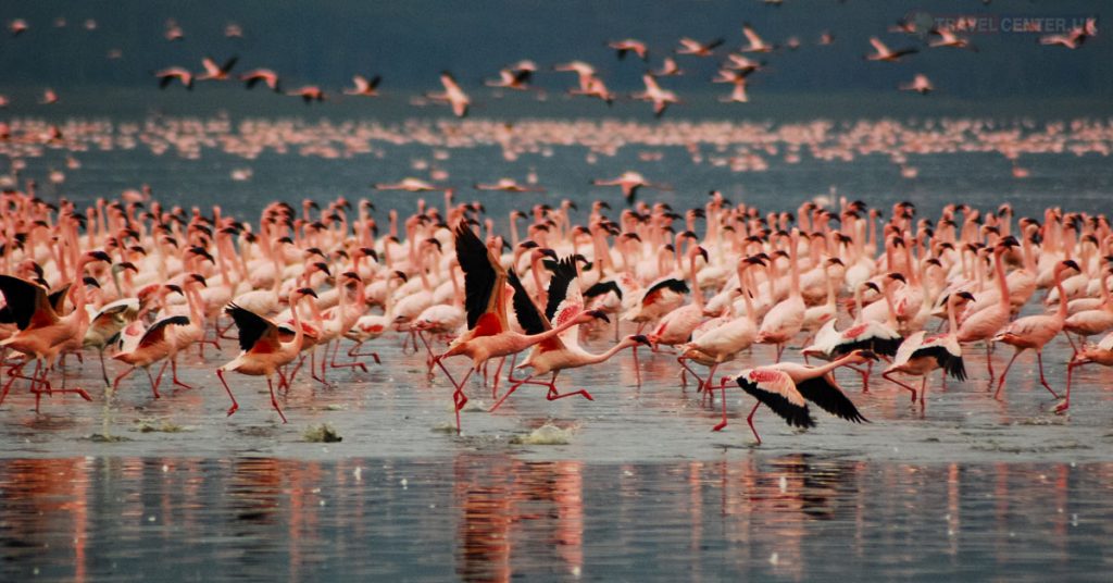 Lake Nakuru National Park