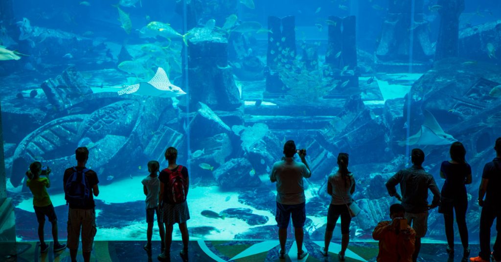 How to Make Your Dubai Holidays Rock