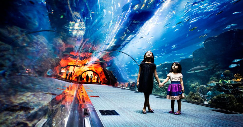 How to Make Your Dubai Holidays Rock