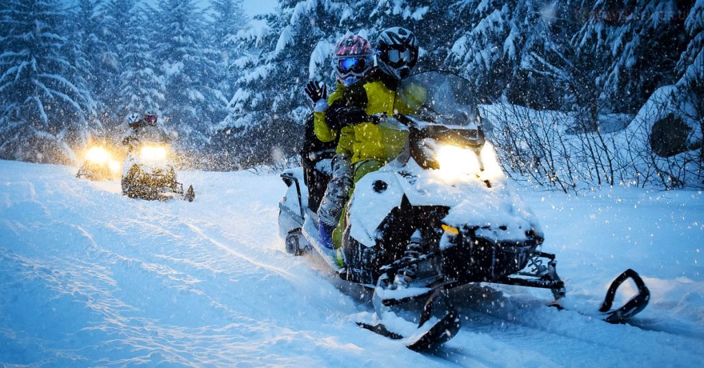 Snowmobile safaris