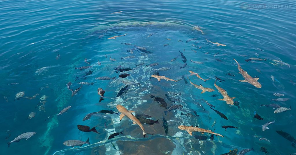 Conrad, Maldives