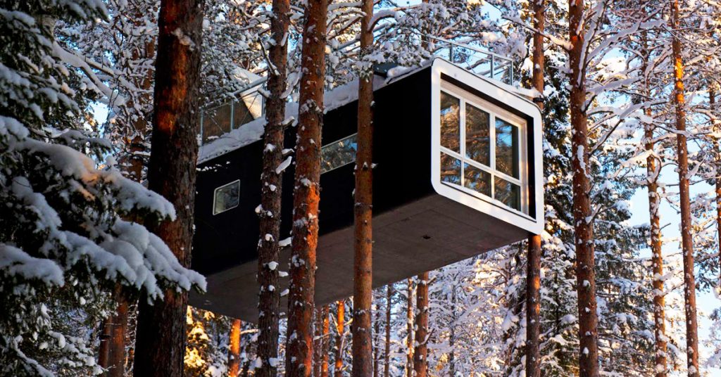 THE CABIN
