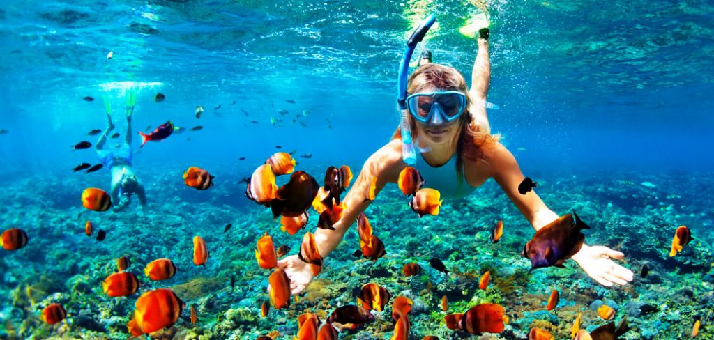 Visiting the Maldives - under water