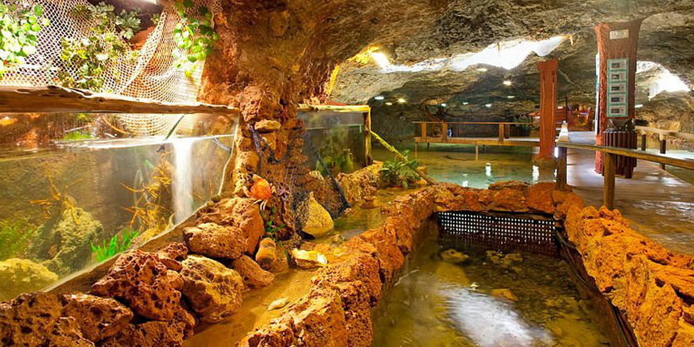 Things to do in Ibiza - Aquarium Cap Blanc