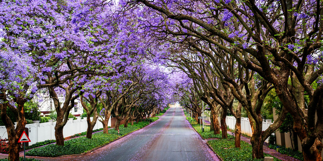 Beautiful streets