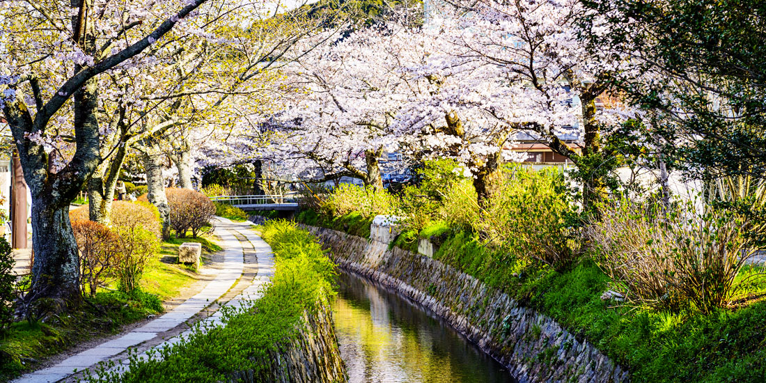 Beautiful streets