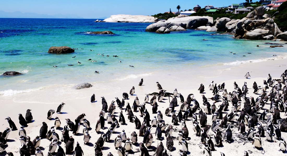 instagrammable places - Cape Town