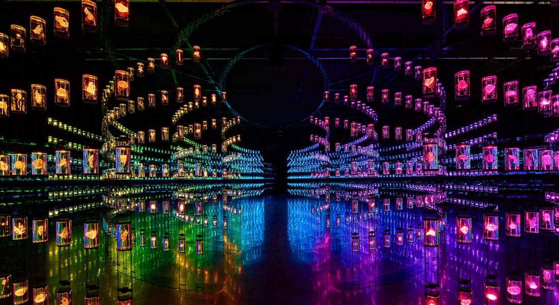 Museum of the Future - Vault of Life