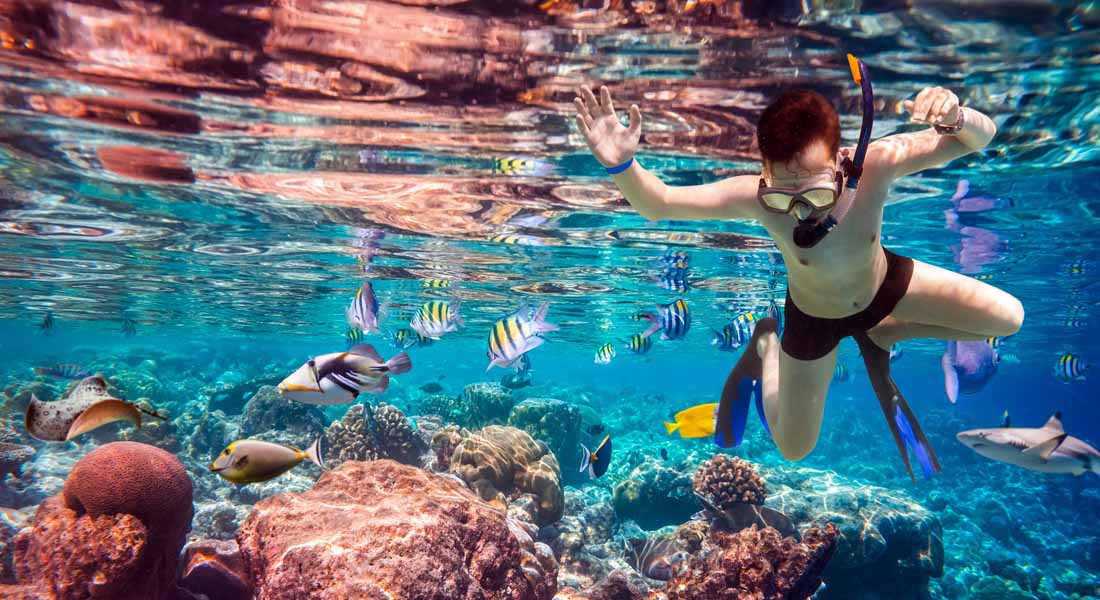 Maldives or Seychelles - The Maldives Activities