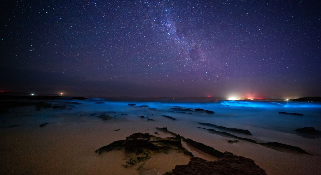 Bioluminescent beaches in the world - Mission bay