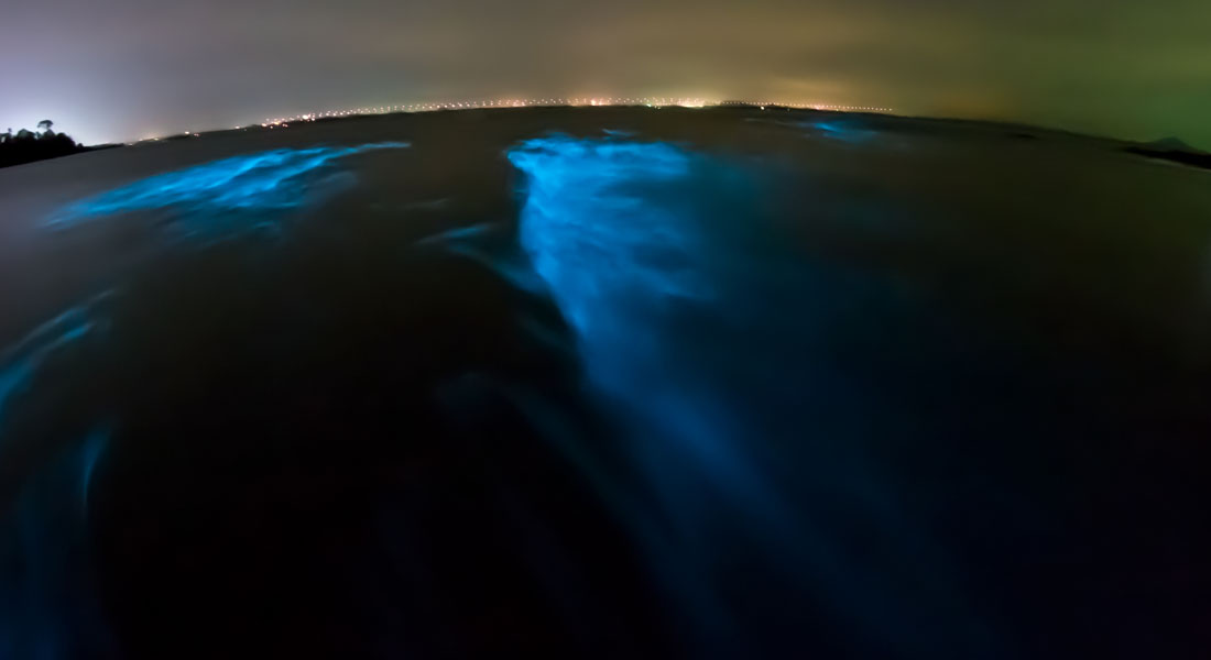 Bioluminescent beaches in the world - New Jersey